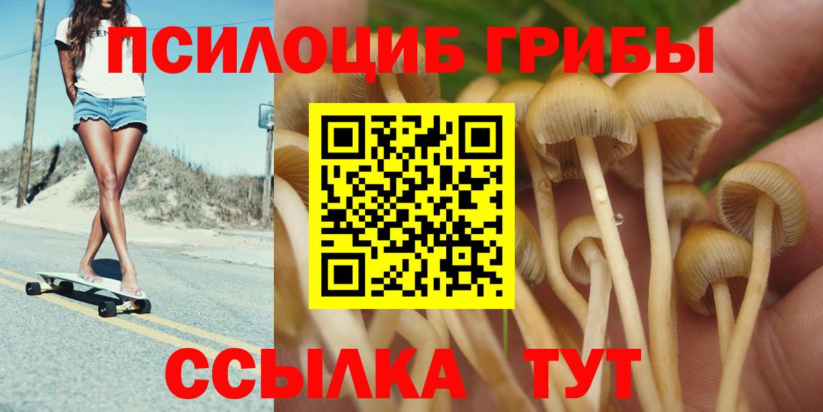 Галлюциногенные грибы Cubensis Рыбинск