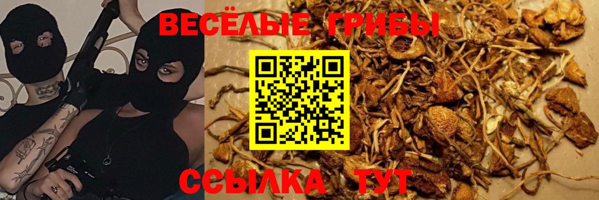 Галлюциногенные грибы Magic Shrooms  Вход с VPN  где купить   Рыбинск 